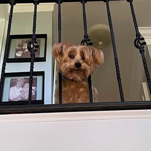 Meet your Posher, Michael